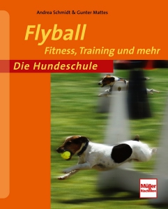 Flyball  